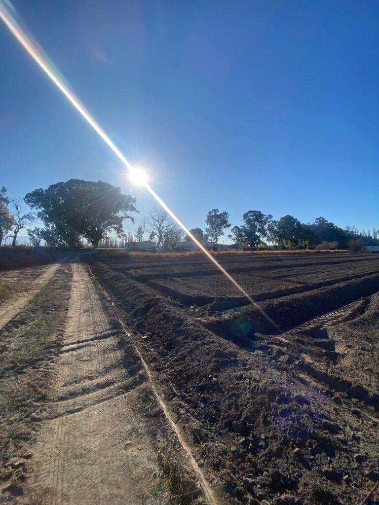 Finca en Pocito – 6 Hectáreas